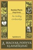 Az ördög cimborája (eBook, ePUB)