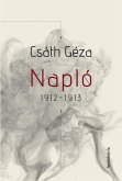 Napló 1912-1913 (eBook, ePUB)
