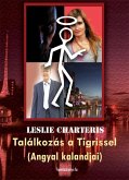 Találkozás a Tigrissel (eBook, ePUB)