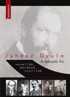 Cover A tékozló fiú (eBook, ePUB)