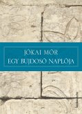 Egy bujdosó naplója (eBook, ePUB)