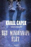 Egy mindennapi élet (eBook, ePUB)