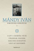 Elbeszélések, kisregények II. (eBook, ePUB)