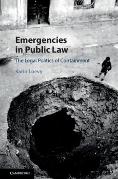 Emergencies in Public Law (eBook, PDF) - Loevy, Karin