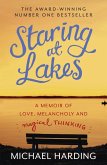 Staring at Lakes (eBook, ePUB)