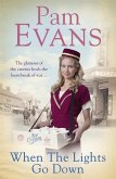 When the Lights Go Down (eBook, ePUB)
