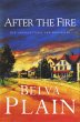 After the Fire (eBook, ePUB) - Bild 1