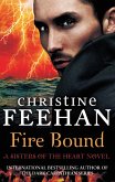 Fire Bound (eBook, ePUB)