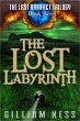 The Lost Labyrinth (The Last Artifact... - Bild 1