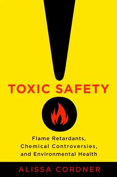 Cover Toxic Safety (eBook, ePUB)