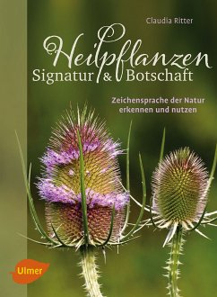 Heilpflanzen. Signatur und Botschaft (eBook, ePUB) - Ritter, Claudia