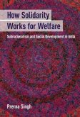 How Solidarity Works for Welfare (eBook, PDF) How Solidarity Works for Welfare (eBook, PDF)