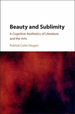 Beauty and Sublimity (eBook, PDF) - Hogan, Patrick Colm