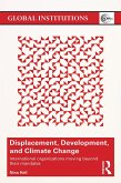 Displacement, Development, and Climate Change (eBook, PDF)