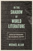 In the Shadow of World Literature (eBook, ePUB)