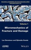 Micromechanics of Fracture and Damage (eBook, ePUB)