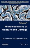 Micromechanics of Fracture and Damage (eBook, PDF)