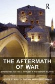 The Aftermath of War (eBook, PDF)