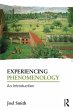 Experiencing Phenomenology (eBook, ePUB) - Bild 1