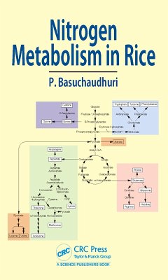 Nitrogen Metabolism in Rice (eBook, PDF) - Basuchaudhuri, Pranab