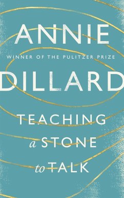 Teaching a Stone to Talk (eBook, ePUB) - Dillard, Annie