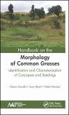 Handbook on the Morphology of Common Grasses (eBook, PDF)