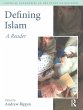 Defining Islam (eBook, ePUB) - Bild 1