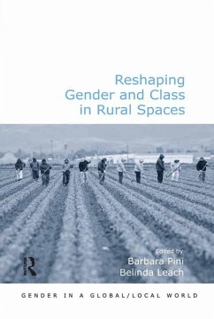 Cover Reshaping Gender and Class in Rural Spaces (eBook, PDF)