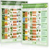 Essbare Wildkräuter für Grüne Smoothies, 2 Poster Essbare Wildkräuter für Grüne Smoothies, 2 Poster