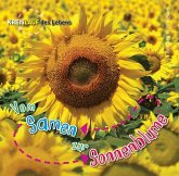 Vom Samen zur Sonnenblume Vom Samen zur Sonnenblume
