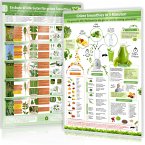 [2er Set] Essbare Wildkräuter für Grüne Smoothies Teil 1 und Grüne Smoothies in 5 Minuten (2024), m. 1 Karte