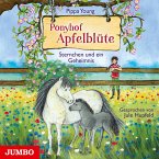 Sternchen und ein Geheimnis / Ponyhof Apfelblüte Bd.7 (1 Audio-CD)