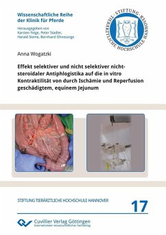 Effekt selektiver und nicht selektiver nichtsteroidaler Antiphlogistika auf die in vitro Kontraktilität von durch Ischämie und Reperfusion geschädigtem, equinem Jejunum - Wogatzki, Anna