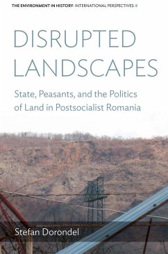 Disrupted Landscapes (eBook, ePUB) - Dorondel, Stefan