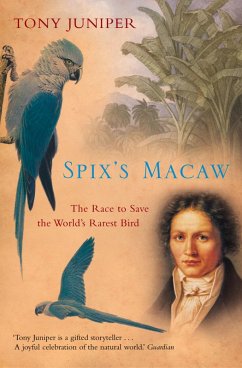 Spix's Macaw (eBook, ePUB) - Juniper, Tony