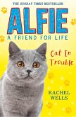 Alfie Cat In Trouble (eBook, ePUB)