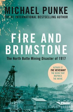 Fire and Brimstone (eBook, ePUB) - Punke, Michael