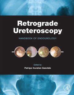 Cover Retrograde Ureteroscopy (eBook, ePUB)