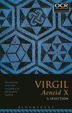 Virgil Aeneid X: A Selection (eBook, ePUB)