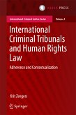 International Criminal Tribunals and Human Rights Law (eBook, PDF)