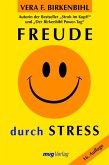 Freude durch Stress (eBook, ePUB)