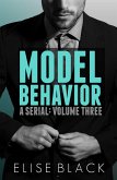 Model Behavior: Volume Three (eBook, ePUB)