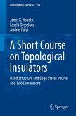 A Short Course on Topological Insulators (eBook, PDF)