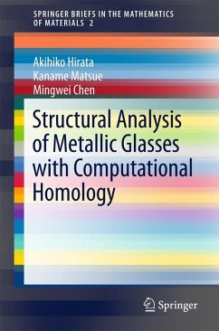 Structural Analysis of Metallic Glasses with Computational Homology (eBook, PDF) - Hirata, Akihiko; Matsue, Kaname; Chen, Mingwei