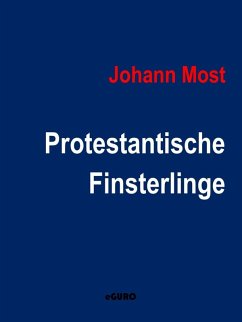 Cover Protestantische Finsterlinge (eBook, ePUB)