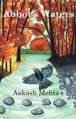 Abbot's Waters (eBook, ePUB)