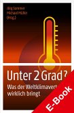 Unter 2 Grad? (eBook, PDF)