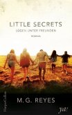Lügen unter Freunden / Little Secrets Bd.1