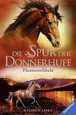 Flammenschlucht / Die Spur der Donnerhufe Bd.1 (eBook, ePUB) Flammenschlucht / Die Spur der Donnerhufe Bd.1 (eBook, ePUB)