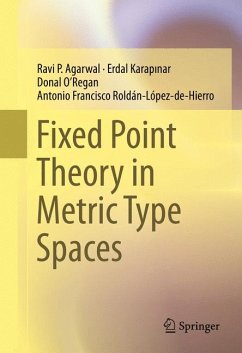 Fixed Point Theory in Metric Type Spaces (eBook, PDF) - Agarwal, Ravi P.; KARAPINAR, Erdal; O’Regan, Donal; Roldán-López-de-Hierro, Antonio Francisco